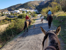 Spain-Southern Spain-Romantic Road to Ronda